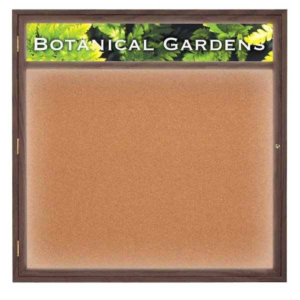 Open Faced Traditional Corkboard, 36x24"